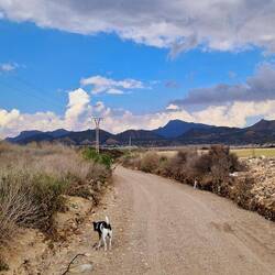 Nachdem DANA aus dem Gassi-Weg einen reißenden Fluß gemacht hatte, wurde dieser top hergerichtet.