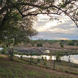 s'Ussicht vom Hüüsli