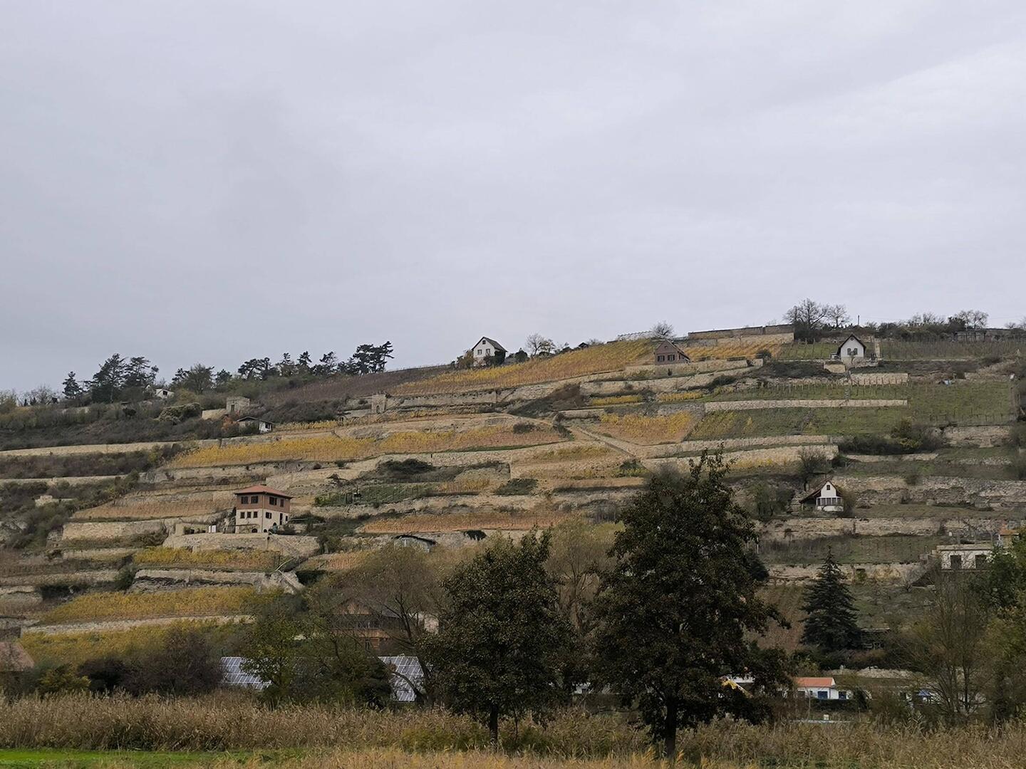 Schweigenberge