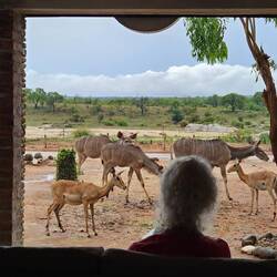 "Fernseh" live vom Wohnzimmer us!