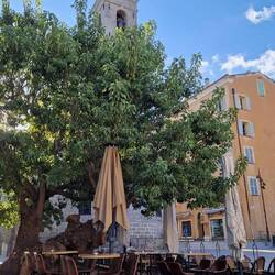 Porto Vecchio