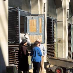 The extended tour takes visitors to the Lipizzanner stables — Vienna, Austria.