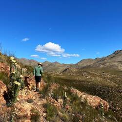 Hier ist es schon etwas wüstiger - wir suchen den Bergleoparden