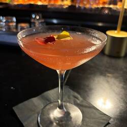 Cocktails at Blue Zoo
