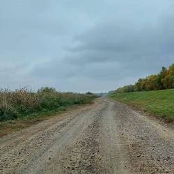 Schotterweg wieder retour - am Tag fühlt sich das gar nicht mehr so schlimm an, wie im Dunkeln
