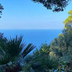 Blick von der Villa Lysis