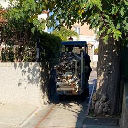 Die schmalen E-Fahrzeuge transportieren alles