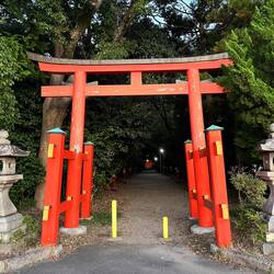 Entry to a rurual shrine further down