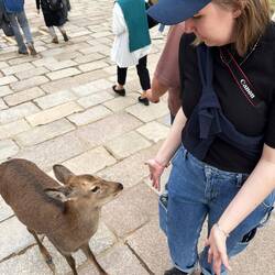 Deer disapointed that we did not buy deer biscuts