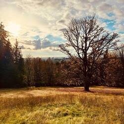 Burnaby mountain