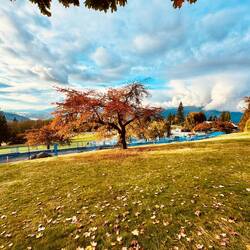 Burnaby Mountain