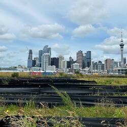 Von der Küste den Sky-Tower