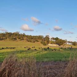 Landschaft unterwegs