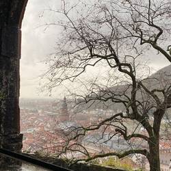 Heidelberg view from the castle