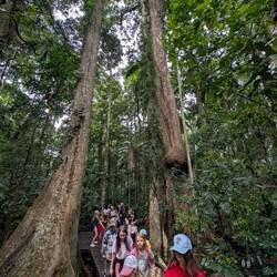 ...aber doch nicht ganz 🙈