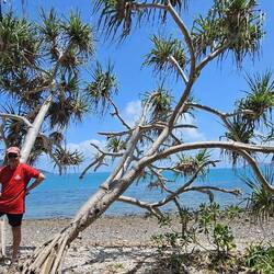 Back at the beach...