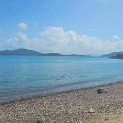 Shoreline along Mount Rooper Walking Trail