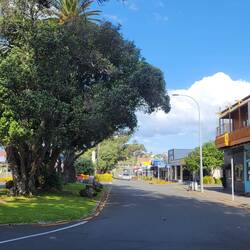 Raglan