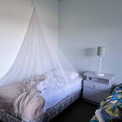 Eine kleine Spinne!!!!!! Was für ein Glück, dass ich das Netz dabei habe 😂.