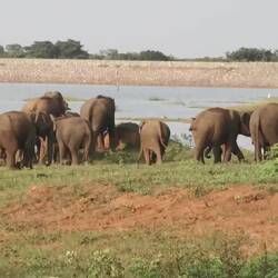 Jetzt wird erstmal gebadet