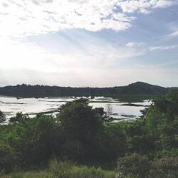Der See von oben