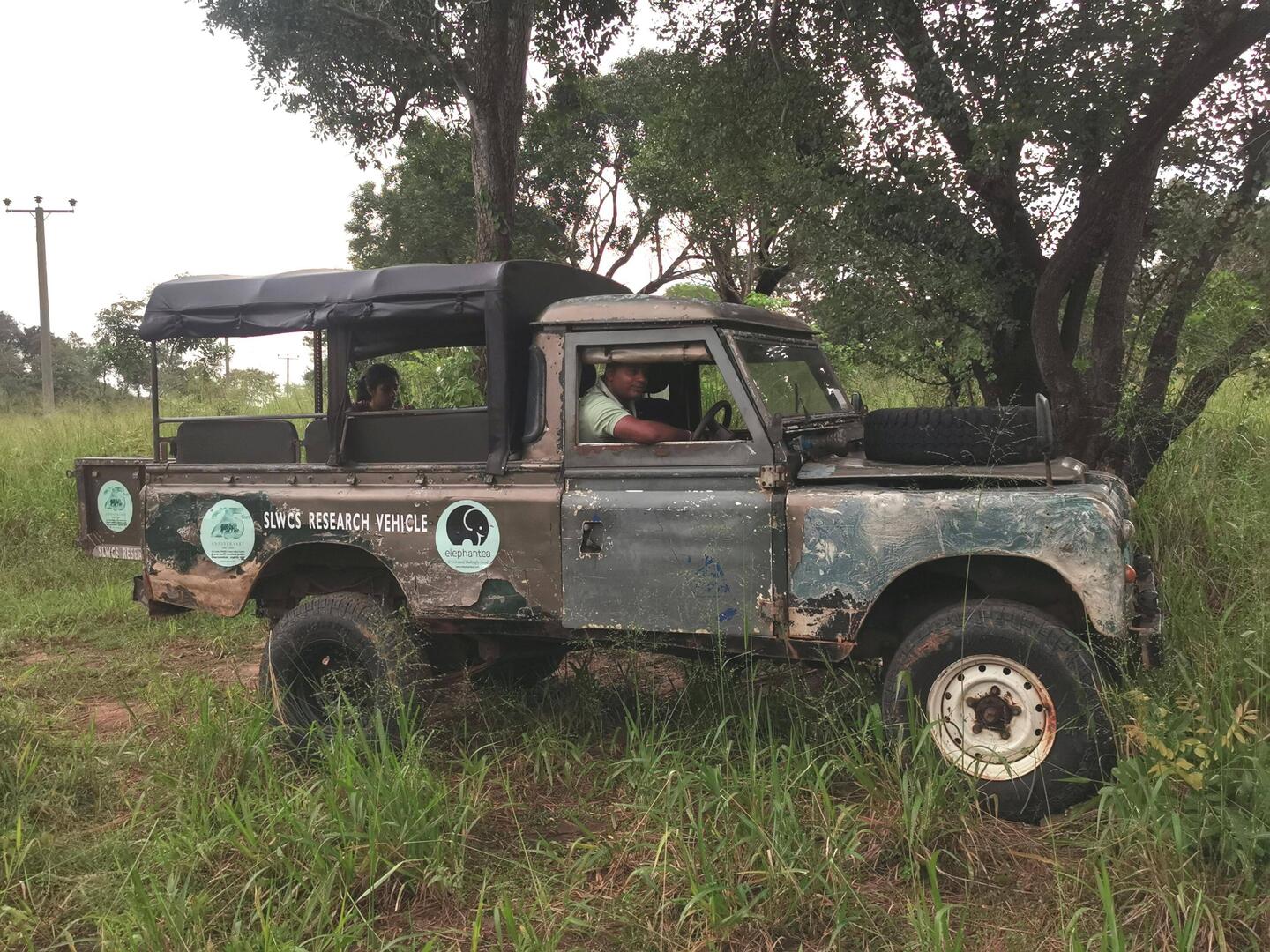 Unser Jeep