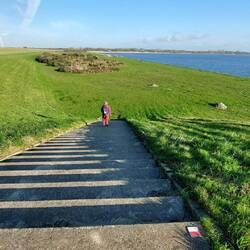 Hinter dem Deich liegt unser heutiges Ziel....