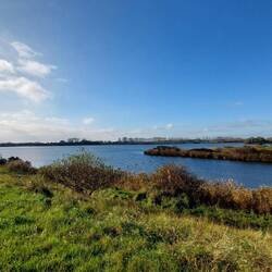 ...vorbei am alten Hafen....