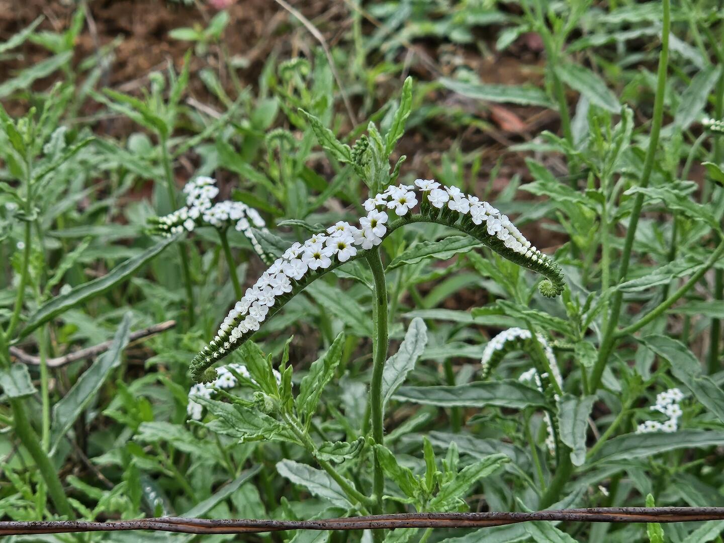 ...bitzeli Farb i de Landschaft...