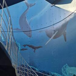 ... mit richtig coolen Wandbildern.