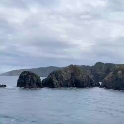 Queen Charlotte Sound / Tōtaranui