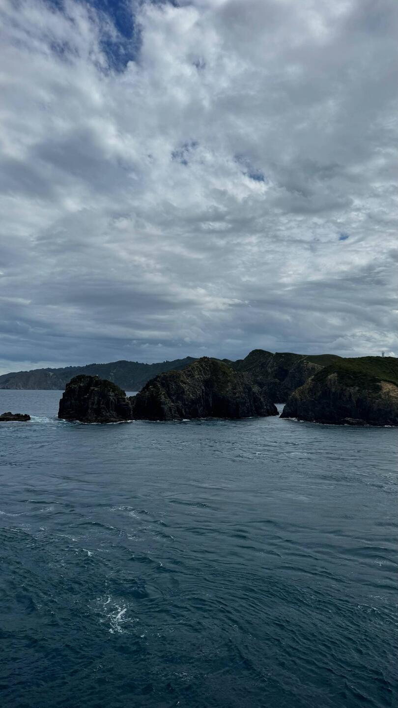 Queen Charlotte Sound / Tōtaranui