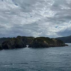 Queen Charlotte Sound / Tōtaranui