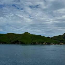 Queen Charlotte Sound / Tōtaranui