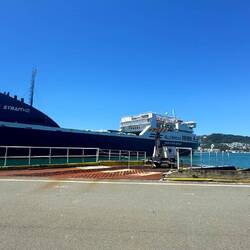 Fähre nach "Picton"