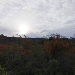 Morgens versucht sich die Sonne durch die Wolken zu kämpfen
