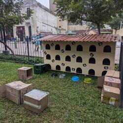 Some of the cat houses