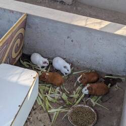 Friends not food 😅