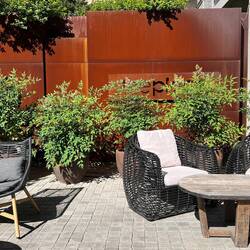 Garten im The Place