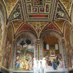 Bibliothèque de la cathédrale