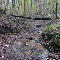 Stream leading to the falls