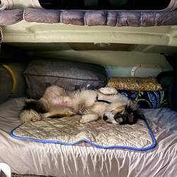 That run tired someone out!