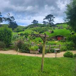Es gab rund 50 individuell gestaltete Hobbitlöcher zu bestaunen. Welcher Baum ist künstlich?