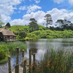 Der Teich mit drei Aalen (engl.: eel). Namen: Samueel Jackson, Eelon Musk & Neel Patrick Harris