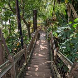 Aber auch ein paar Treppen