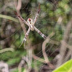 Sieht größer aus....😉