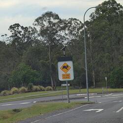 Slow down. Don't want to hit any koalas