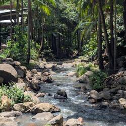 A river below the zip lines