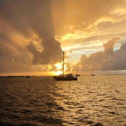 So the storm is upon us: 12 hrs of thunderstorm, heavy rain and strong winds (60km/h)