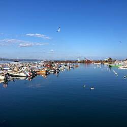 Culetra harbour